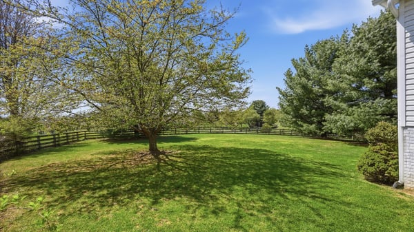 Rear Yard