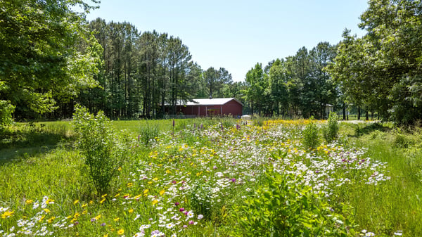 25610 Chance Farm Road, Royal Oak, MD