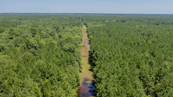 Presswood Lake Tract, Columbia County, AR