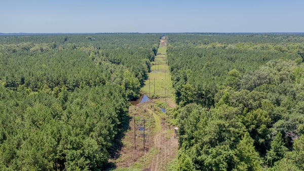 Presswood Lake Tract, Columbia County, AR