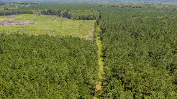 Presswood Lake Tract, Columbia County, AR