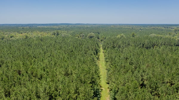 Presswood Lake Tract, Columbia County, AR