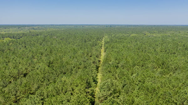Presswood Lake Tract, Columbia County, AR