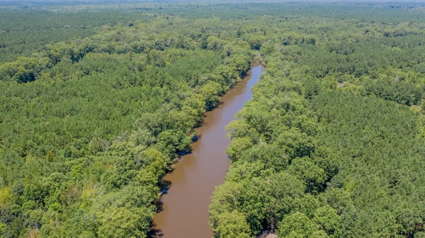 Presswood Lake Tract, Columbia County, AR