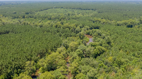 Presswood Lake Tract, Columbia County, AR