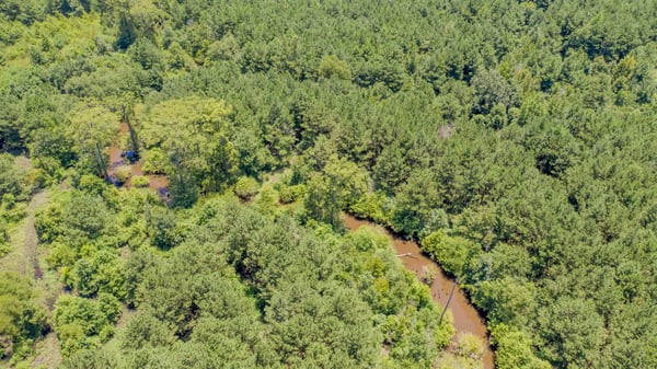Presswood Lake Tract, Columbia County, AR