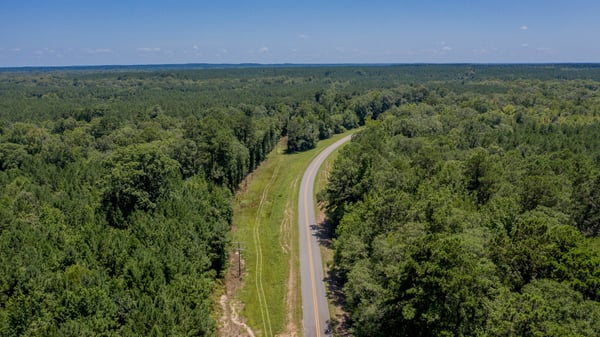 Presswood Lake Tract, Columbia County, AR