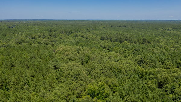 Presswood Lake Tract, Columbia County, AR