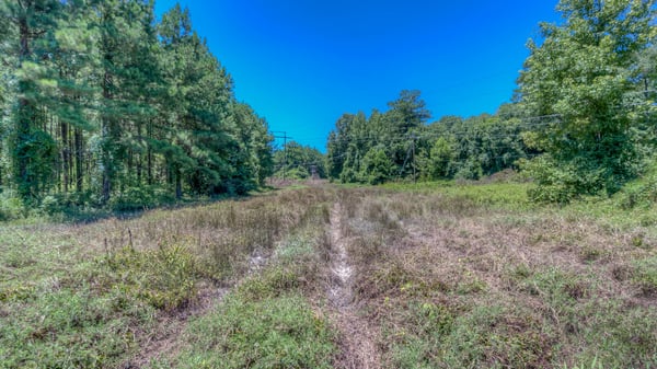 Presswood Lake Tract, Columbia County, AR