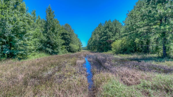 Presswood Lake Tract, Columbia County, AR
