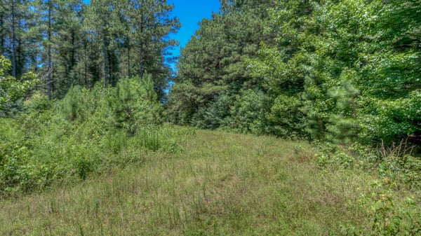 Presswood Lake Tract, Columbia County, AR