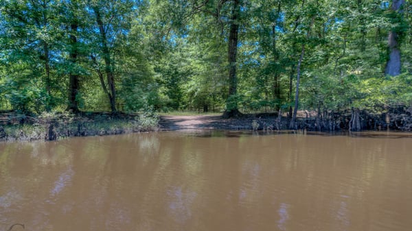 Presswood Lake Tract, Columbia County, AR