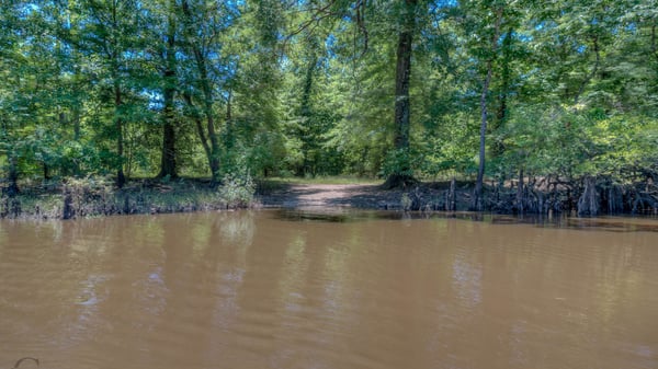 Presswood Lake Tract, Columbia County, AR