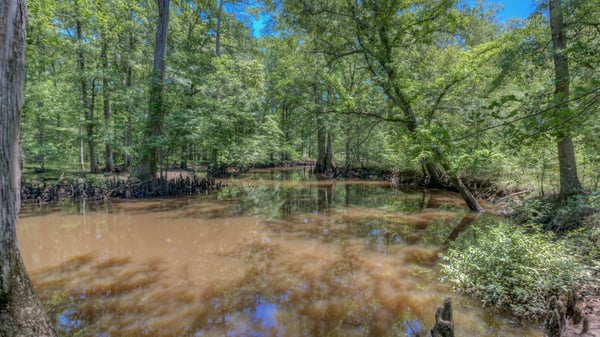 Presswood Lake Tract, Columbia County, AR