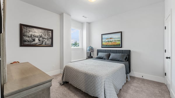 Bedroom with Walk-in Closet