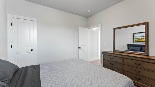 Bedroom with Walk-in Closet