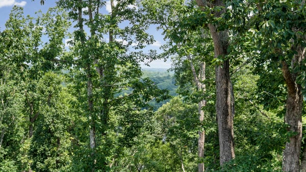 7405 Crestline Drive, Dawsonville, GA