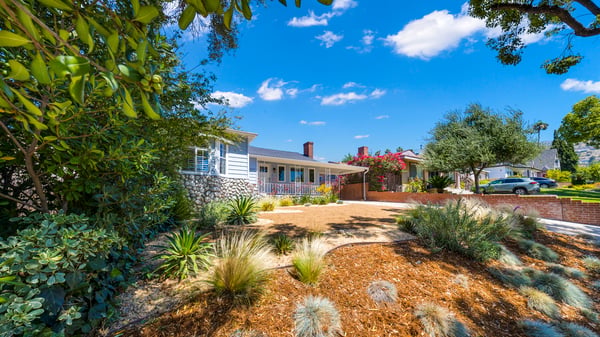 Drought tolerant plantings and drip system