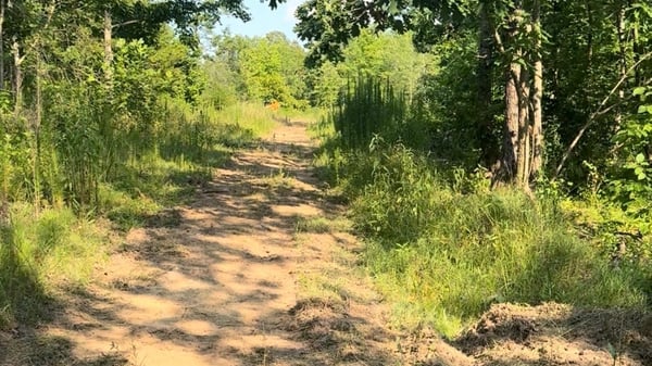 2125 Hwy 247, Belton, SC