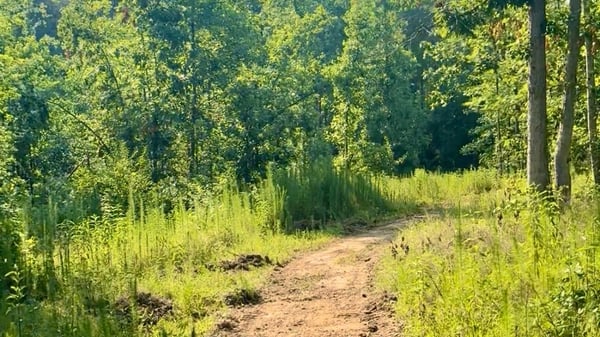 2125 Hwy 247, Belton, SC