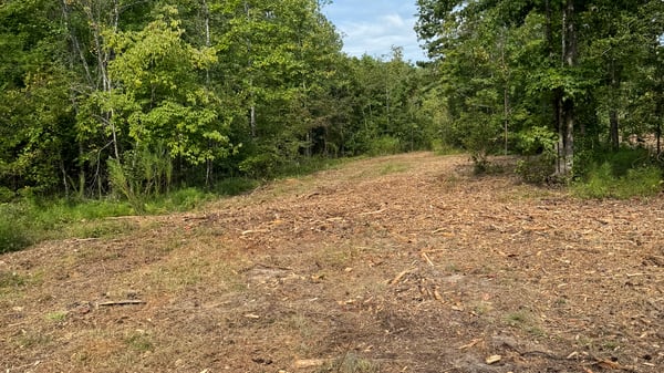 2125 Hwy 247, Belton, SC