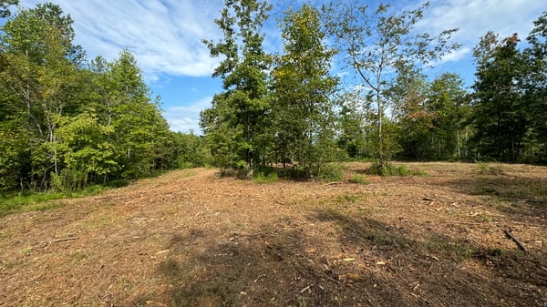 2125 Hwy 247, Belton, SC