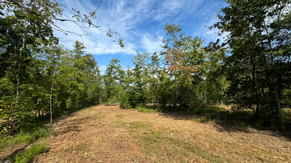 2125 Hwy 247, Belton, SC