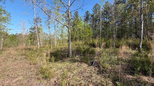 2125 Hwy 247, Belton, SC