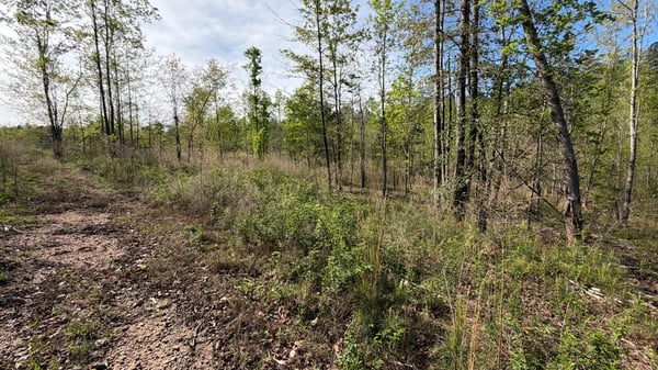 2125 Hwy 247, Belton, SC