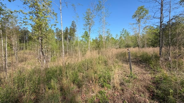 2125 Hwy 247, Belton, SC
