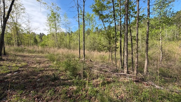 2125 Hwy 247, Belton, SC