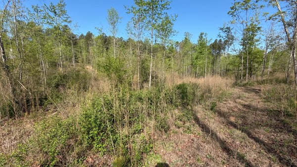 2125 Hwy 247, Belton, SC