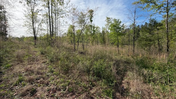 2125 Hwy 247, Belton, SC