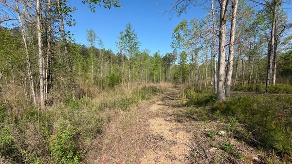 2125 Hwy 247, Belton, SC