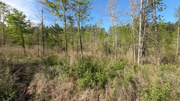 2125 Hwy 247, Belton, SC