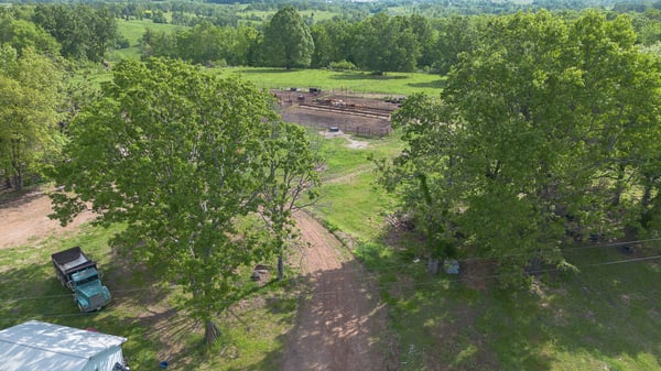 Looking north from house driveway
