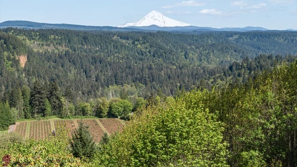7428 SE Cottrell Rd, Gresham, OR