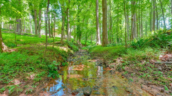 1369 Kelly Mill Trace, Cumming, GA
