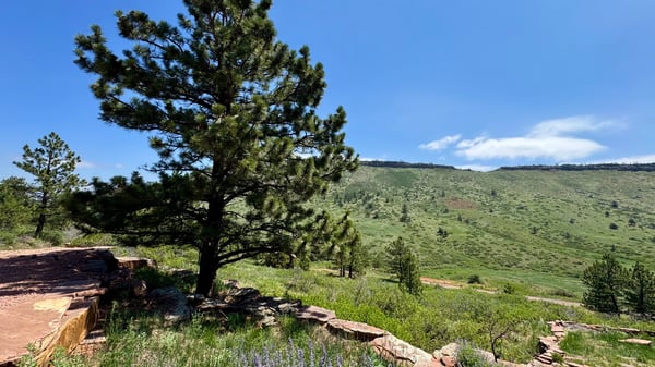 2901 Stone Canyon, Longmont, CO
