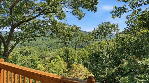 676 Alpine Drive, Jasper, GA