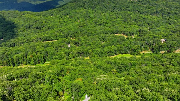 676 Alpine Drive, Jasper, GA