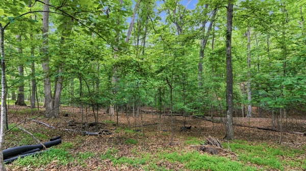 7260 Serenity Place, Cumming, GA