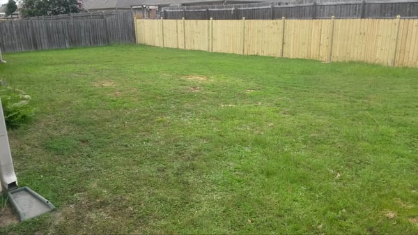 Spacious backyard with ample green space, perfect for gardening, play, or outdoor gatherings.