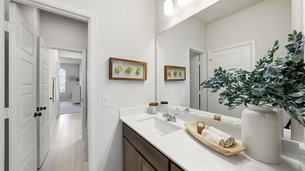 2229 Plumeria Lane, Celina, TX