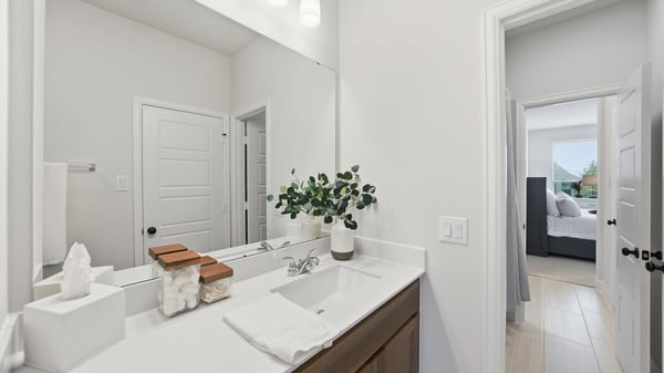 2229 Plumeria Lane, Celina, TX