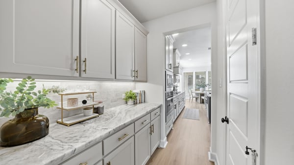 2229 Plumeria Lane, Celina, TX