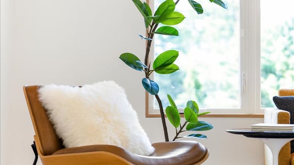 Living room 1