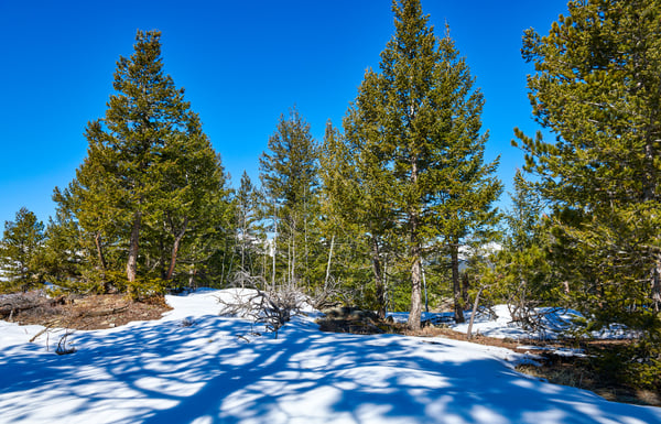 815 Cougar Run, Nederland, CO