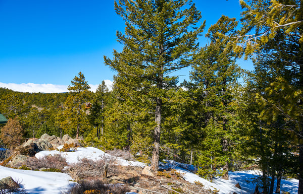 815 Cougar Run, Nederland, CO