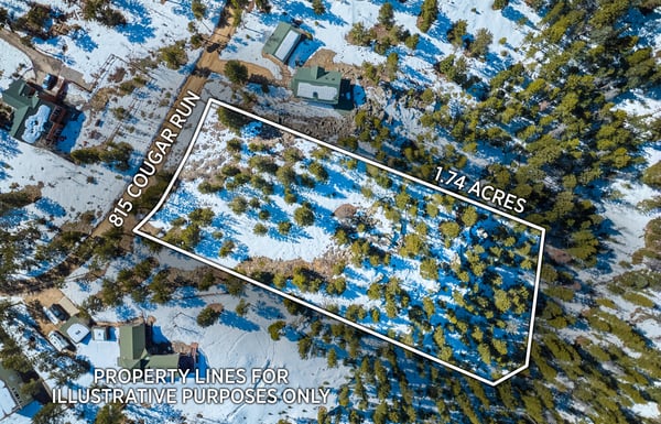 815 Cougar Run, Nederland, CO
